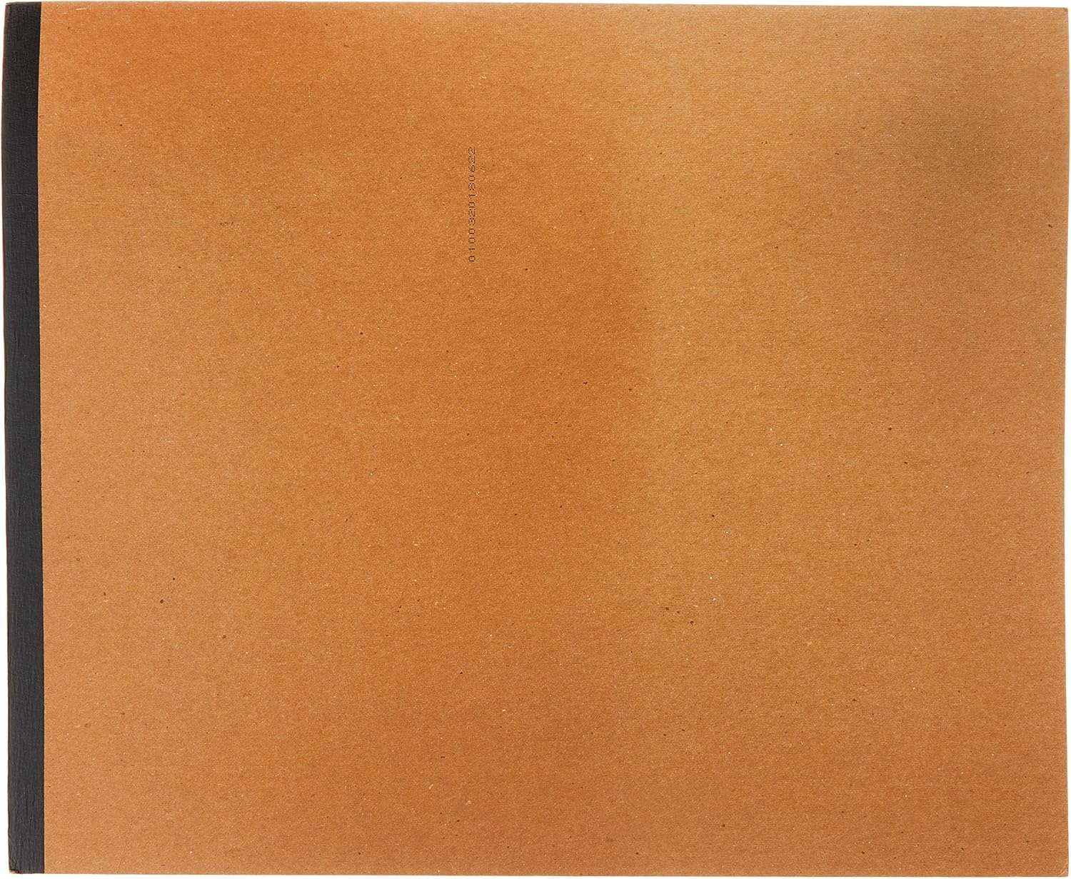 Strathmore (580-52 500 Series Sequential Art Bristol, 2-Ply Plate Surface, 24 Sheets(Plate  2 Ply)