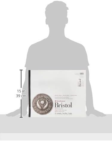 Strathmore (580-42 500 Series Sequential Art Bristol, 2-Ply Vellum Surface, 24 Sheets(Plate  2 Ply)