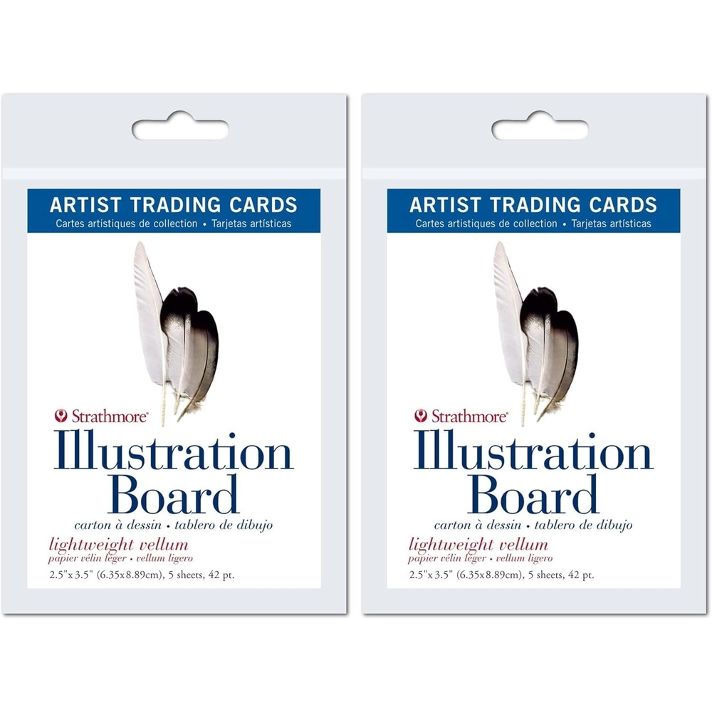 Strathmore 300 Series Bristol Artist Trading Cards, Smooth Surface, 20 Sheets(5 Count (Pack of 2))