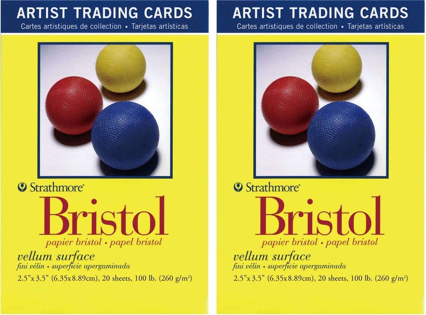 Strathmore Artist Trading Cards 2.5″X3.5″ 5/Pkg-Illustration Board Vellum -62105907, White(20 Count (Pack of 2))