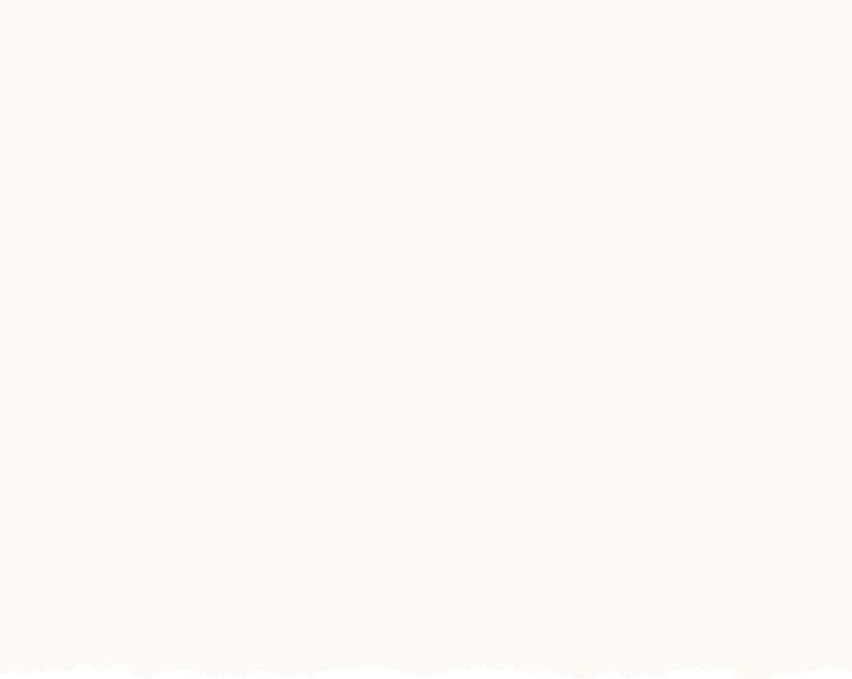 Strathmore Creative Cards, Flourescent White with Deckle Edge, 5×6.875 inches, 100 Pack, Envelopes Included – Blank Greeting Cards for Weddings, Events, Birthdays(5×6.875)