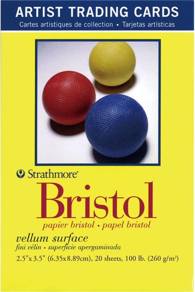 Strathmore 300 Series Bristol Artist Trading Cards, Smooth Surface, 20 Sheets(20 Count (Pack of 1))